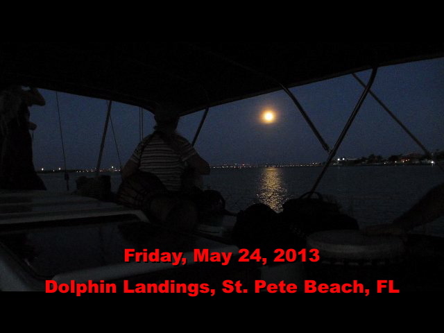 full moon dolphin drumming cruise May 2013